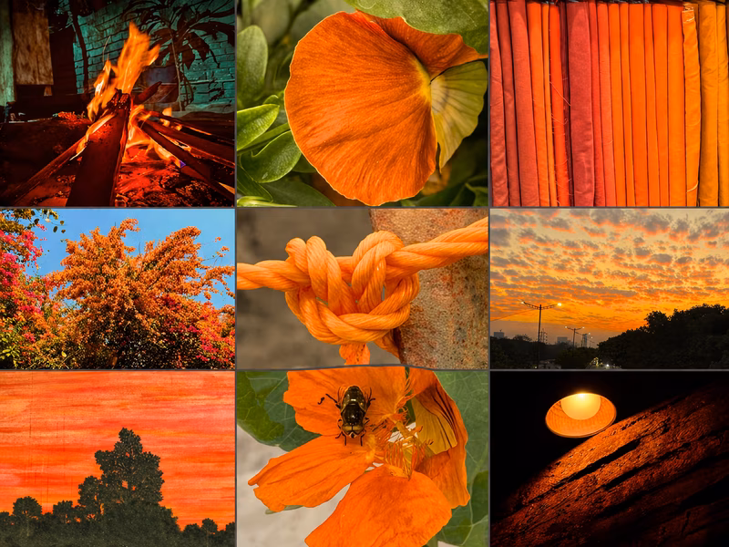 Color Hunting Challenge packages a simple scavenger hunt into a satisfying grid reveal TikTok trend visual